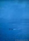 3847.jpg (27kb)