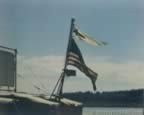 453.jpg (28kb)