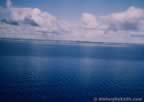 960.jpg (43kb)