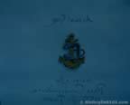 13519.jpg (23kb)
