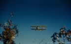 13542.jpg (34kb)