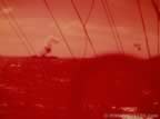 13703.jpg (30kb)
