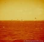 13707.jpg (32kb)