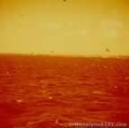 13709.jpg (35kb)