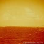 13712.jpg (27kb)