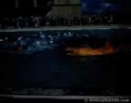 14106.jpg (28kb)