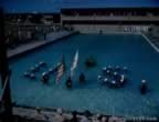 14107.jpg (40kb)