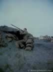 14109.jpg (31kb)