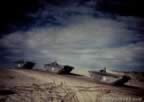 14125.jpg (32kb)