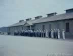 14302.jpg (37kb)
