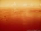 14375.jpg (28kb)