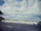 14601.jpg (44kb)