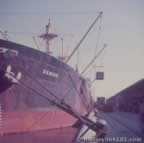 14628.jpg (31kb)