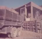14663.jpg (38kb)