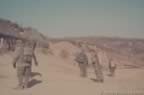 14676.jpg (34kb)
