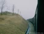 14695.jpg (39kb)