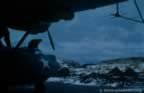 14805.jpg (40kb)