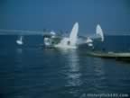 14903.jpg (33kb)