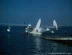 14904.jpg (30kb)