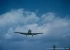 15007.jpg (24kb)