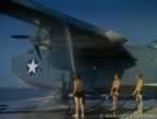 15037.jpg (35kb)