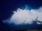 15049.jpg (33kb)