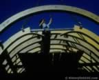 15089.jpg (60kb)