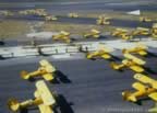 15403.jpg (70kb)