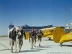 15422.jpg (44kb)