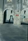 15469.jpg (68kb)