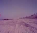 15650.jpg (28kb)