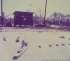 15651.jpg (40kb)