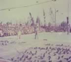 15654.jpg (48kb)
