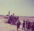 15658.jpg (38kb)