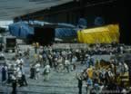 15697.jpg (89kb)