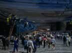 15799.jpg (79kb)