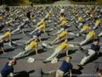 16231.jpg (95kb)