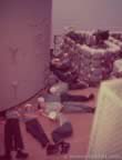 16305.jpg (45kb)