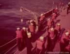 16311.jpg (59kb)