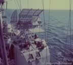 16356.jpg (57kb)