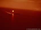 16372.jpg (23kb)