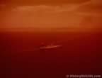 16373.jpg (24kb)