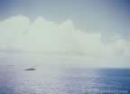 16454.jpg (31kb)