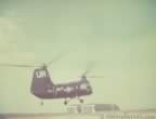 16606.jpg (20kb)