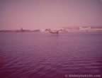 16614.jpg (35kb)