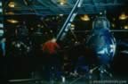 16635.jpg (67kb)