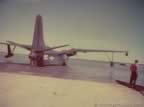 16825.jpg (31kb)