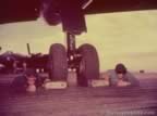16876.jpg (43kb)