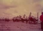 16914.jpg (39kb)