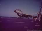 16932.jpg (33kb)